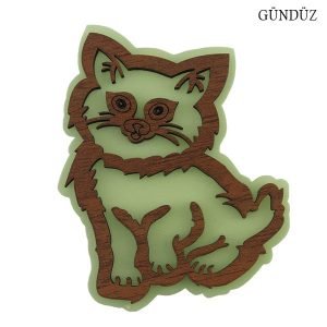 Fosforlu Kahverengi Kedi